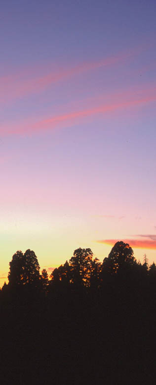 redwood_mtn