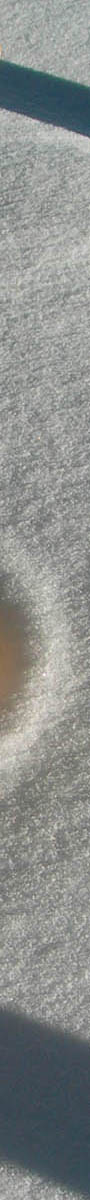 snow_crystals_sl1