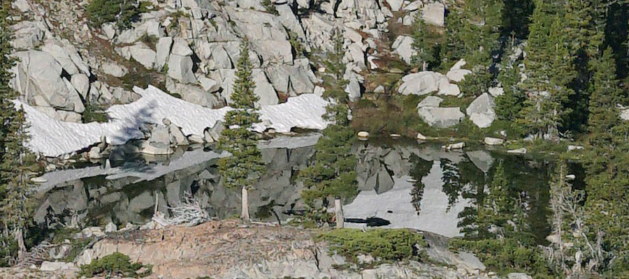 2904-crop2y.jpg.jpg