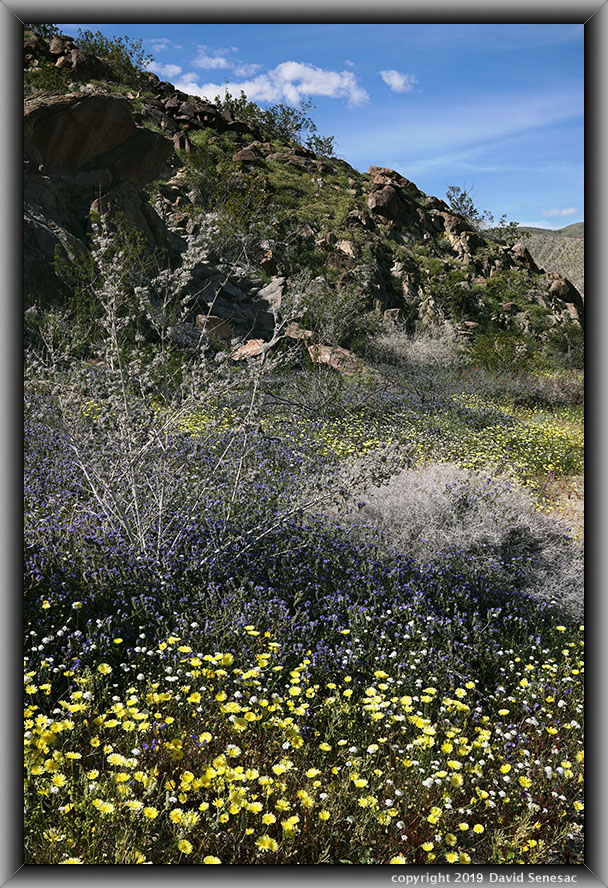 SJ05075-92