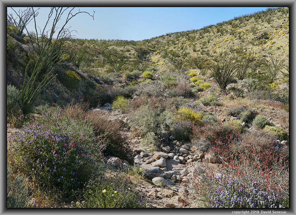 SJ05611-05662-3x1vb