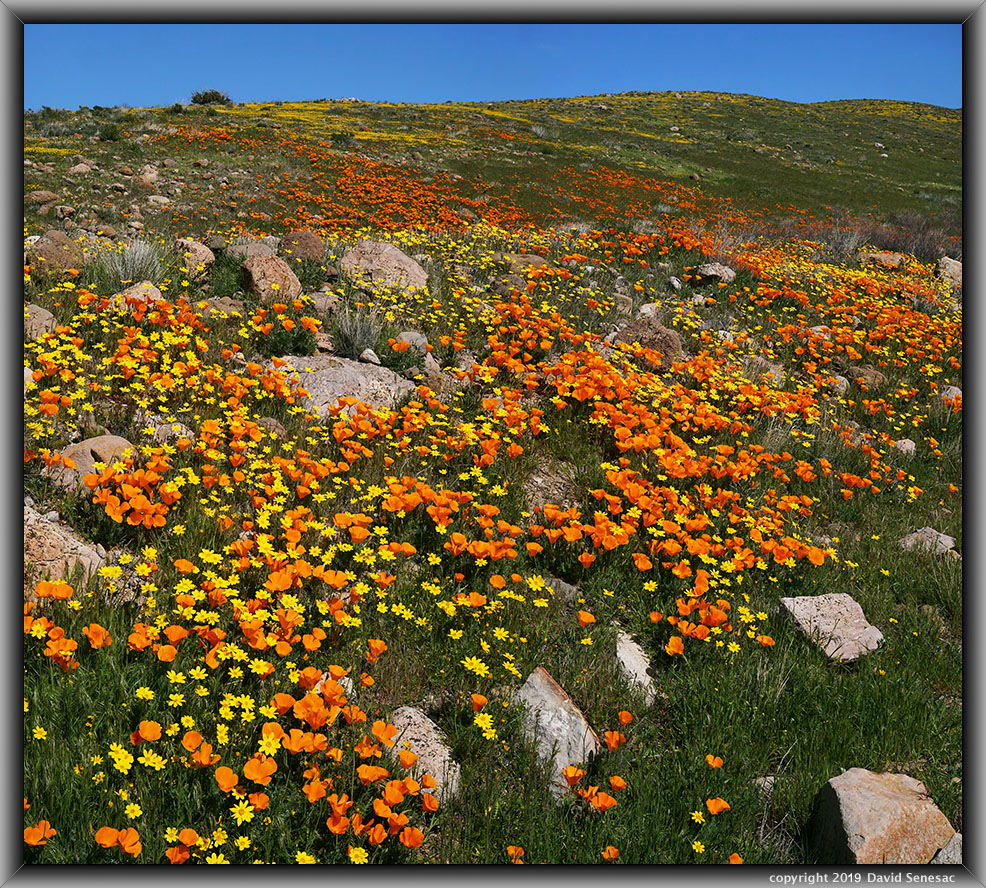 SJ06088-06127-2x1v
