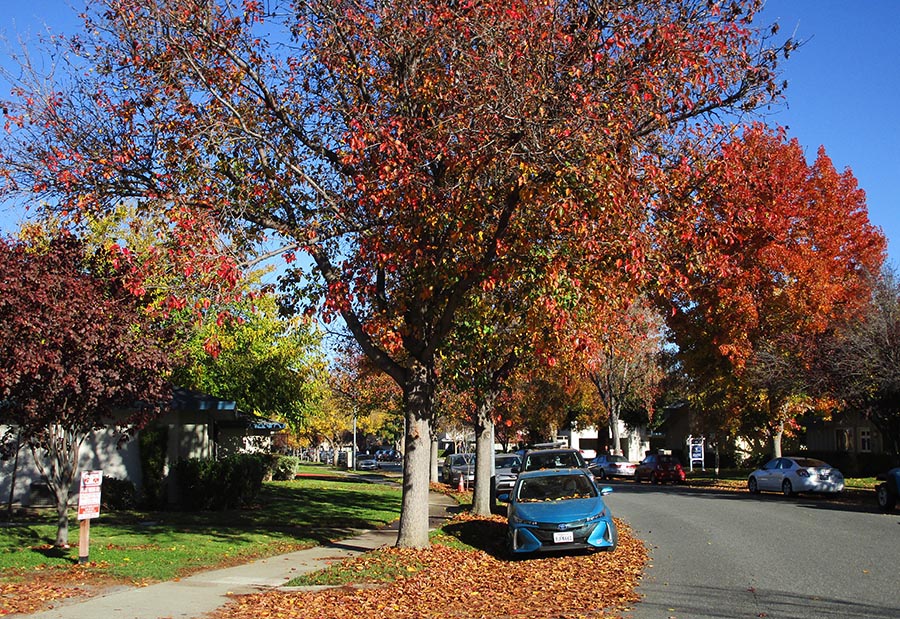 7Street