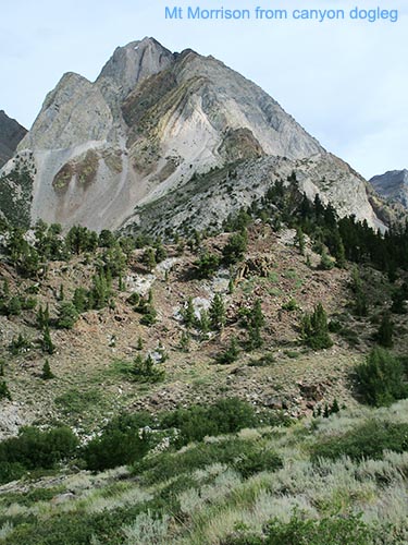 MtMorrison1