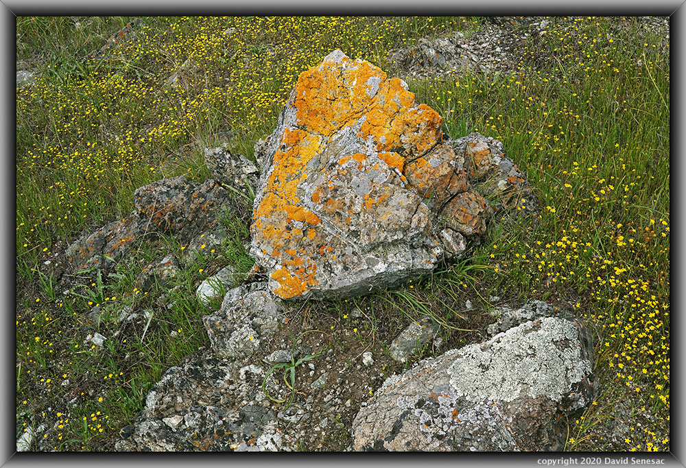 SQ06158-79