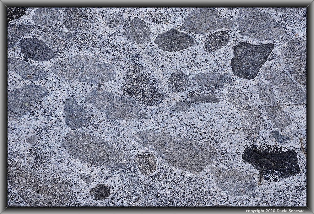 SW08981-90