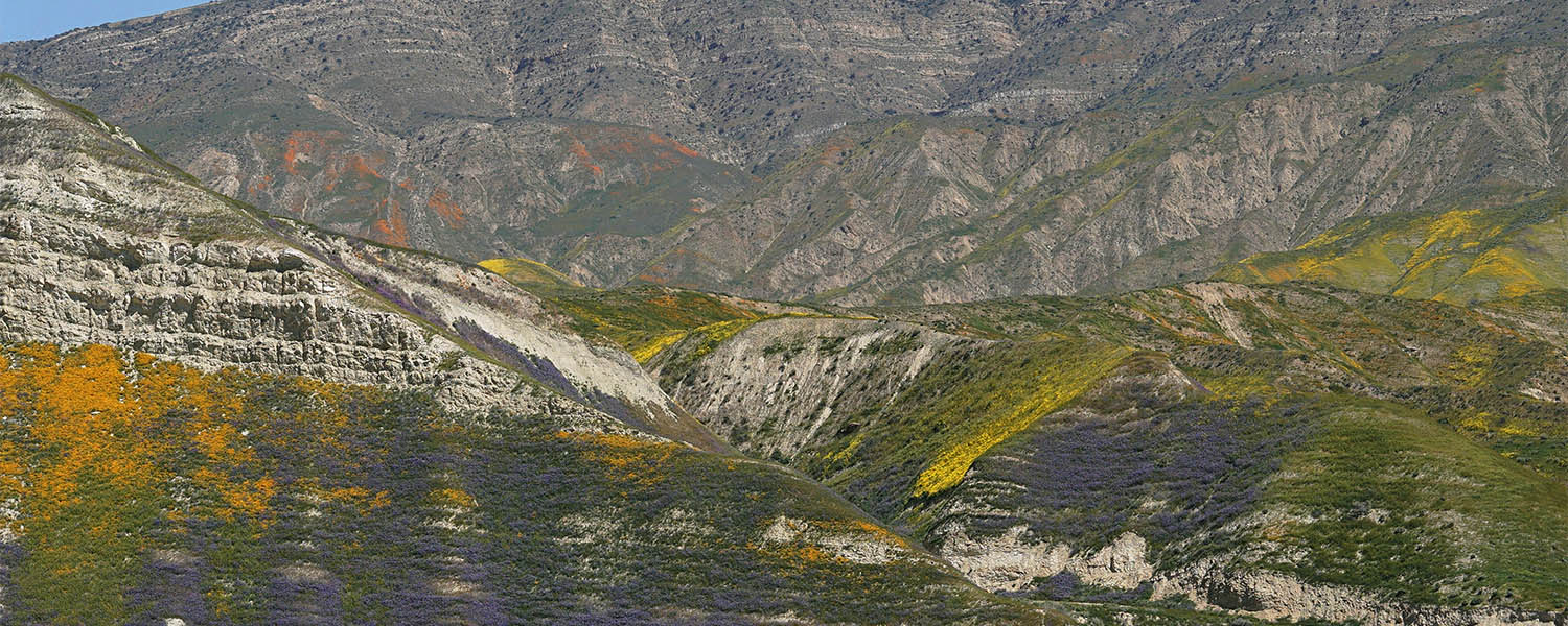 UA00222-00257-3x1h-cr1