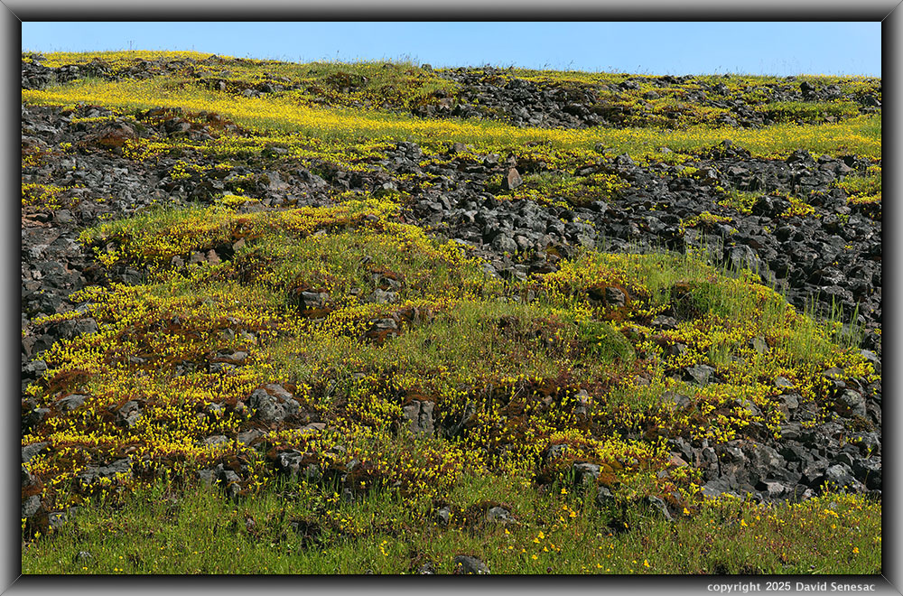 UX09047-09114-3x1v