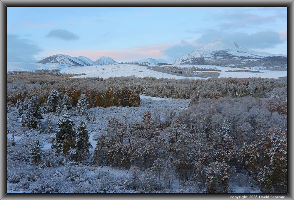 VA04082 sunrise, snow, quaking aspen, Mt Olsen, Black Mtn, Dunderberg Pk. VA04082