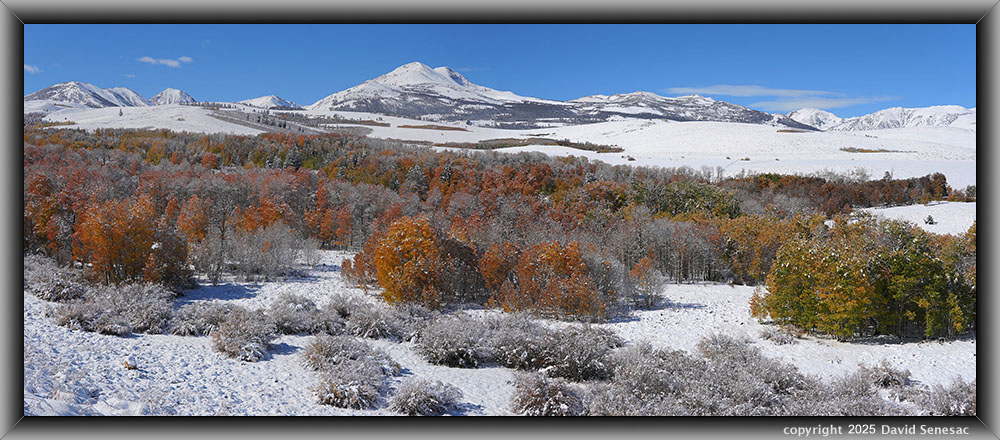 VA04330-04336-2x1h snow, quaking aspen, Mt Olsen, Black Mtn, Dunderberg Pk, Kavanaugh Ridge. VA04330-04336-2x1h