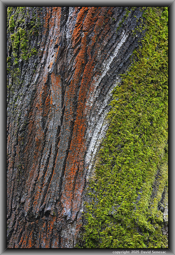 VE06046-57