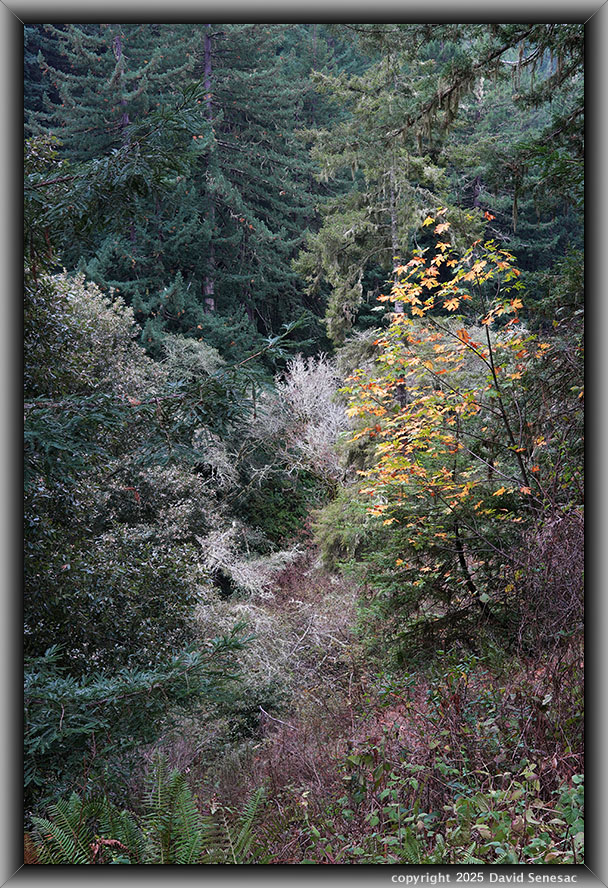 VF06351-63