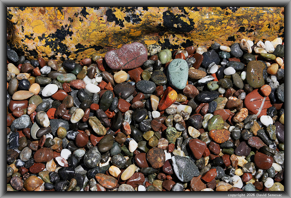 VP08547-68h surf smoothed, wet mélange beach stones atop boulder. VP08547-68h