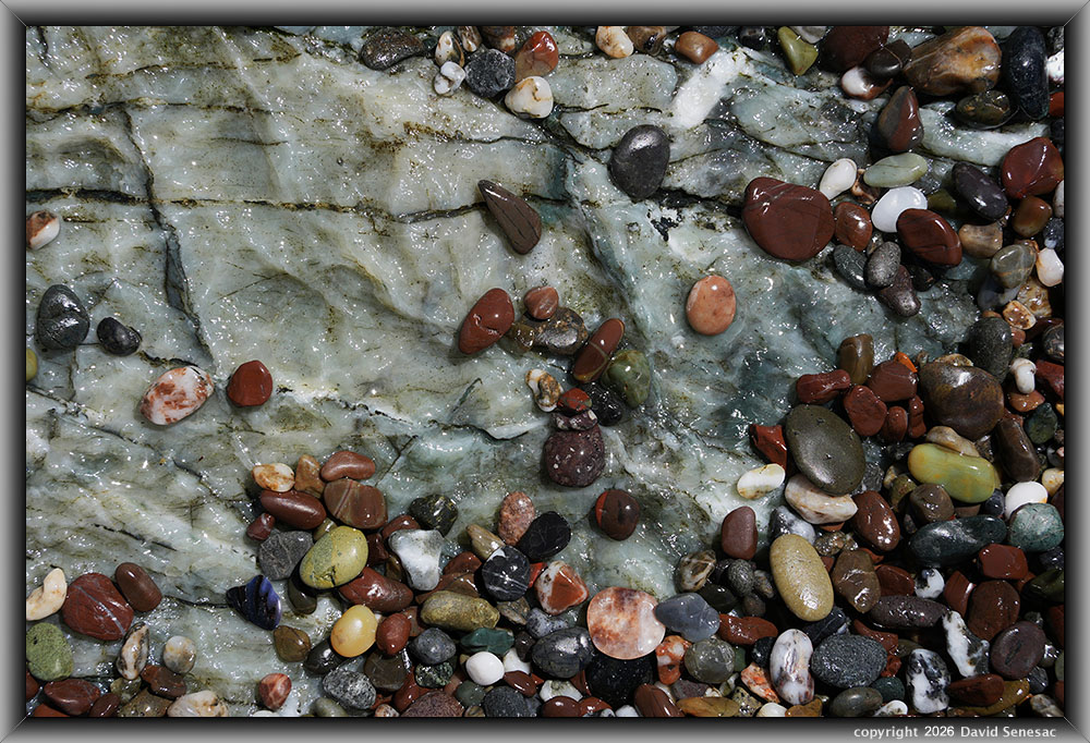 VP08597-12h surf smoothed, wet mélange beach stones atop boulder. VP08597-12h
