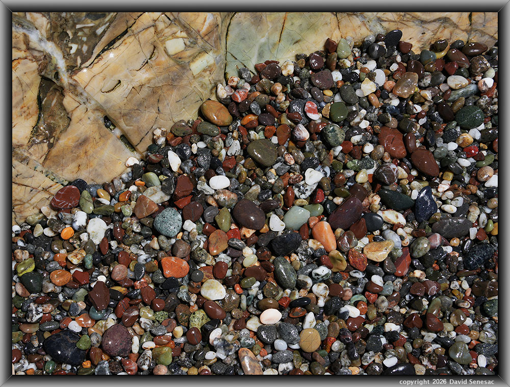 VP08697-15h surf smoothed, wet mélange beach stones atop boulder. VP08697-15h