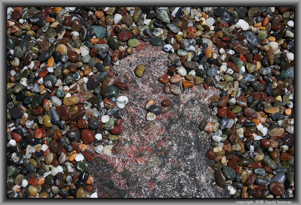 VP08897-24h surf smoothed, wet mélange beach stones atop boulder. VP08897-24h