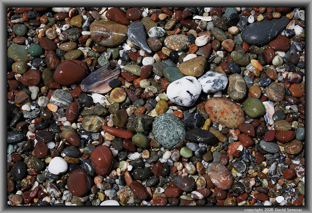 VQ08947-64h surf smoothed, wet mélange beach stones. VQ08947-64h