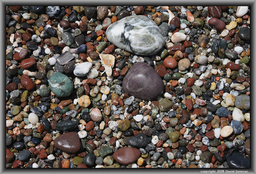 VQ09044-68h surf smoothed, wet mélange beach stones. VQ09044-68h