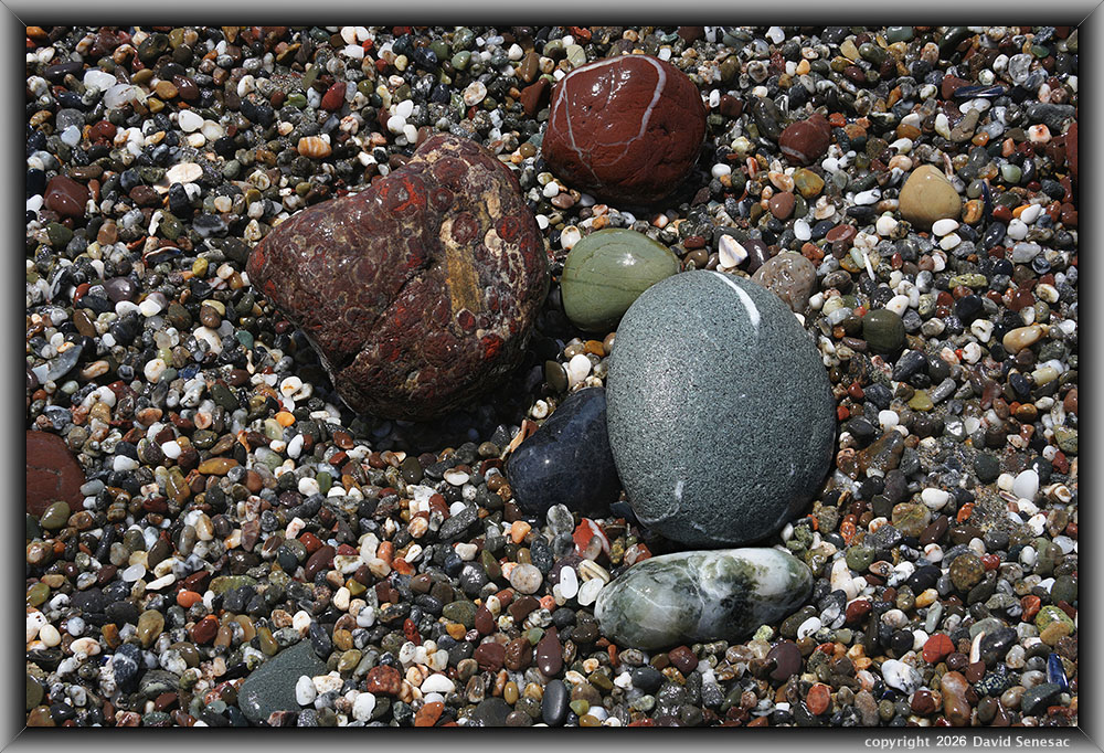 VQ09094-18h surf smoothed, wet mélange beach stones. VQ09094-18h