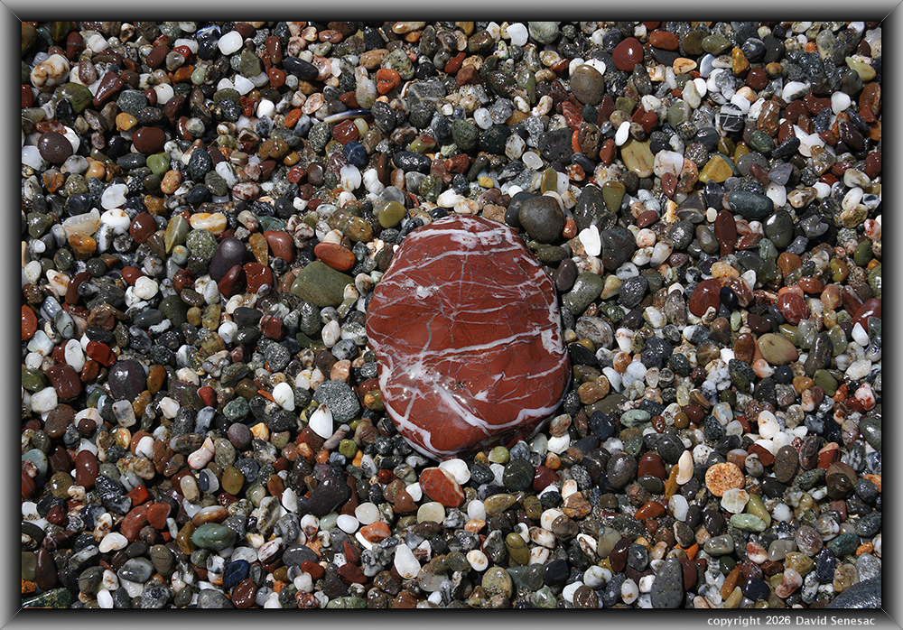 VQ09144-65h surf smoothed, wet mélange beach stones. VQ09144-65h