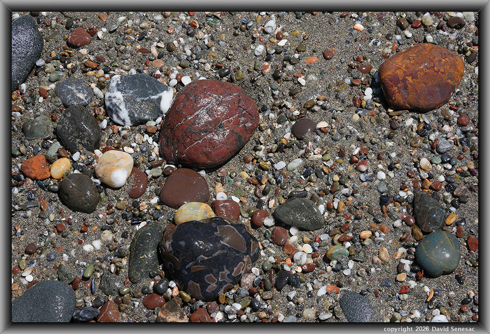 VQ09244-63h surf smoothed, wet mélange beach stones. VQ09244-63h
