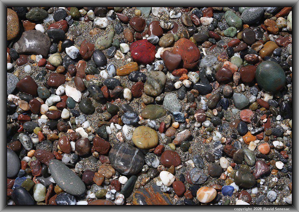 VQ09294-08h surf smoothed, wet mélange beach stones. VQ09294-08h