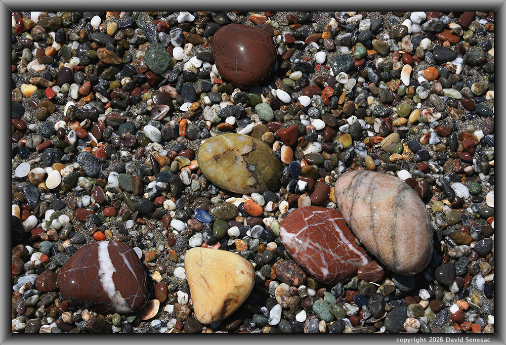 VQ09344-67h surf smoothed, wet mélange beach stones. VQ09344-67h