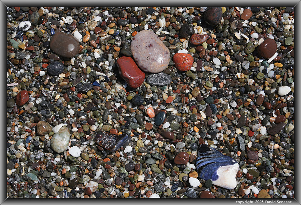 VQ09494-14h surf smoothed, wet mélange beach stones. VQ09494-14h