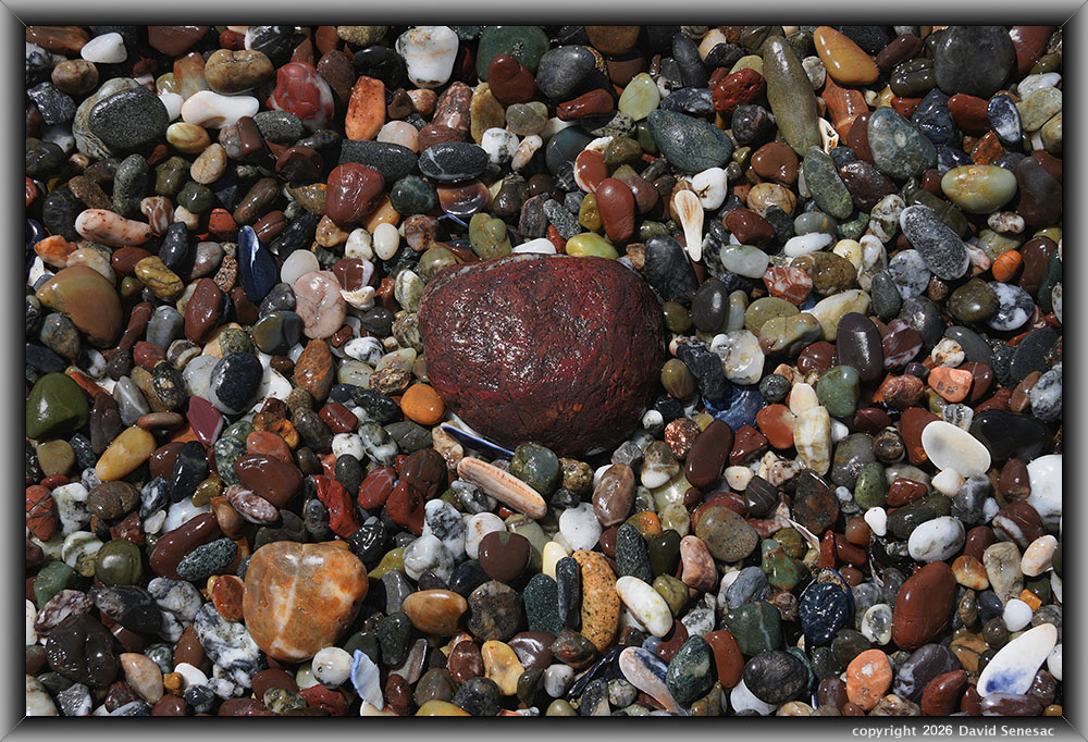 VQ09515-34h surf smoothed, wet mélange beach stones. VQ09515-34h