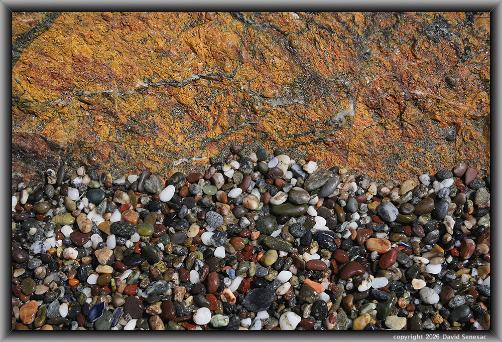 VQ09565-77h surf smoothed, wet mélange beach stones. VQ09565-77h