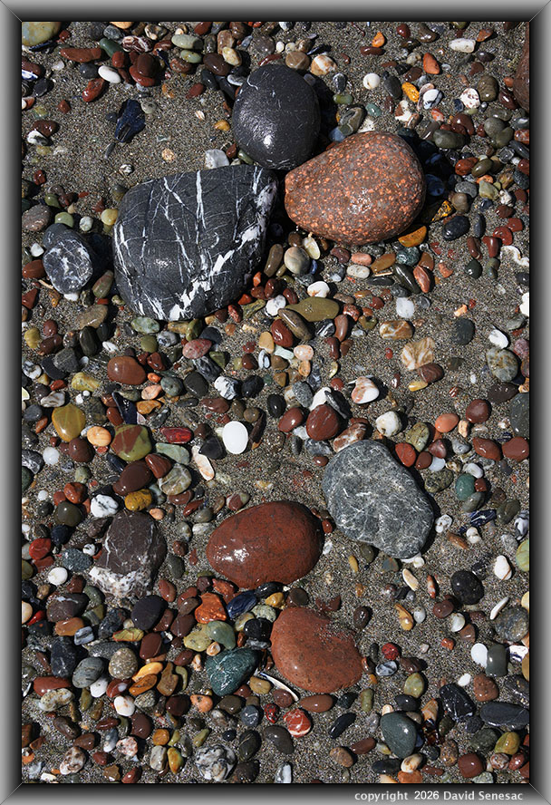 VQ09615-30v surf smoothed, wet mélange beach stones. VQ09615-30v