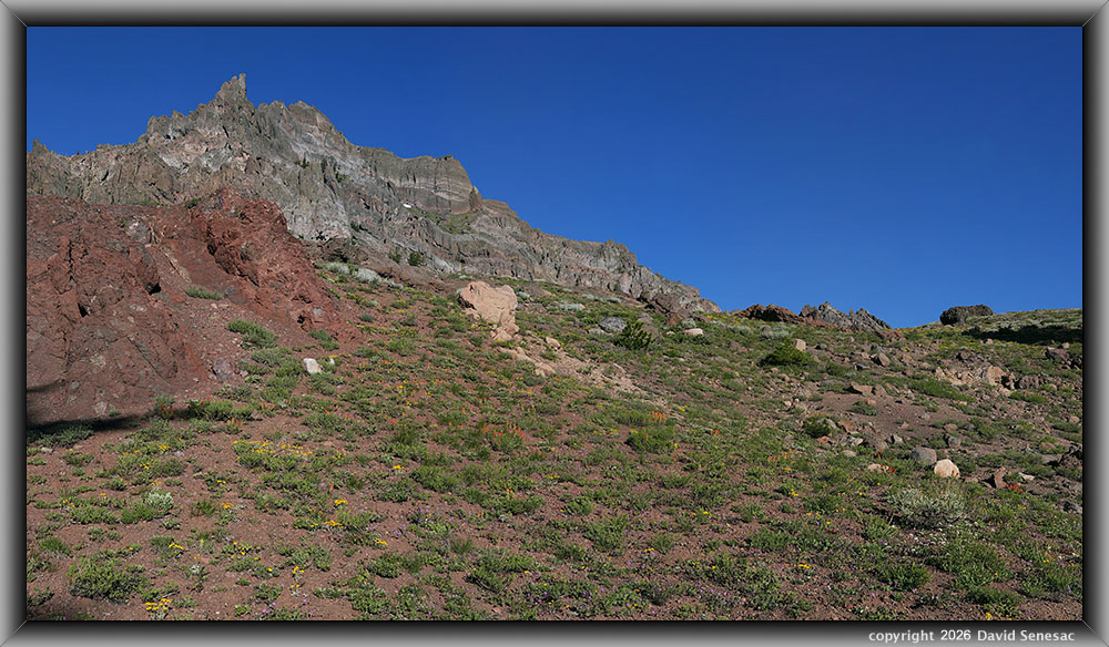 VR09737-09764-3x1v
