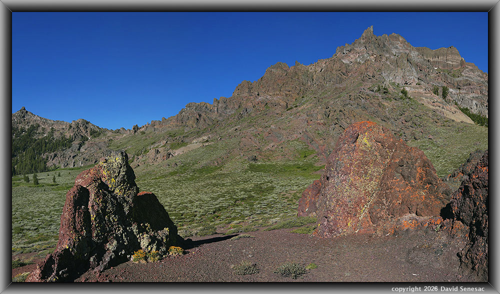 VR09784-09801-3x1v