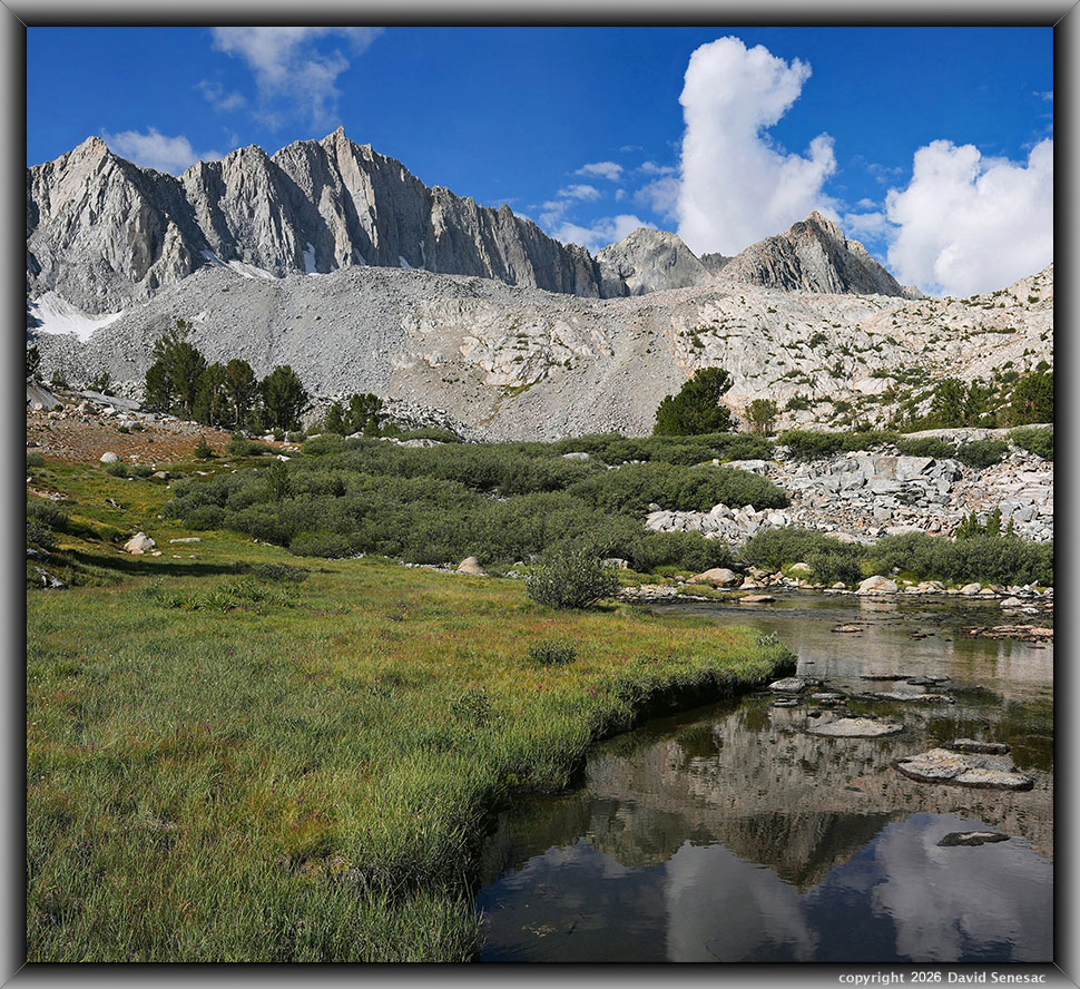 VS00208-00218-2x1v Mt Goode, whitebark pine, Lemmon's paintbrush, Sierra willow VS00208-00218-2x1v