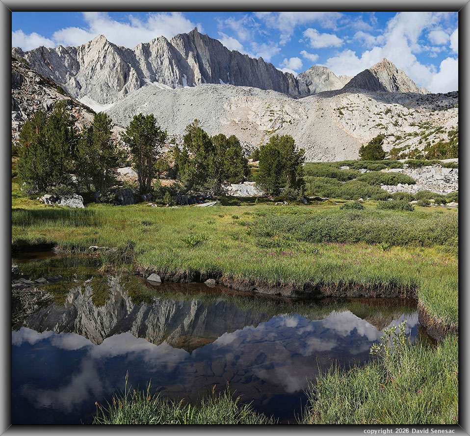 VS00219-00232-2x1v pond, Mt Goode, whitebark pine, Lemmon's paintbrush, Sierra willow VS00219-00232-2x1v