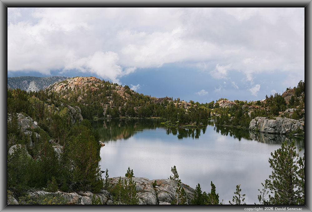 VS00273-76h Long Lake, thunderstorm, whitebark pine VS00273-76h