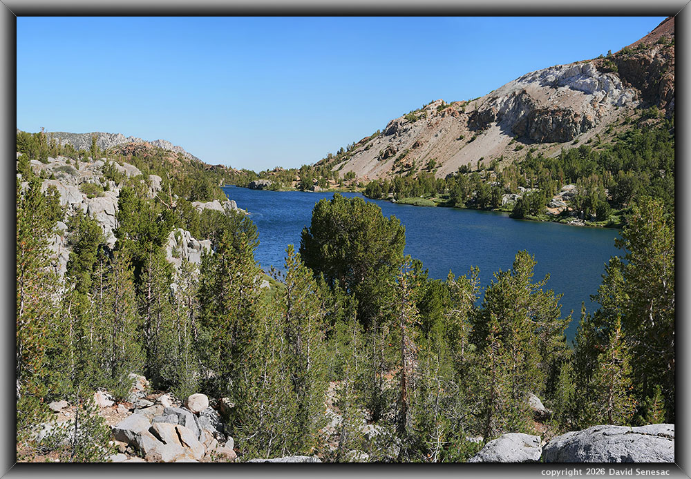 VS00341-00359-3x1v Long Lake, whitebark pine VS00341-00359-3x1v