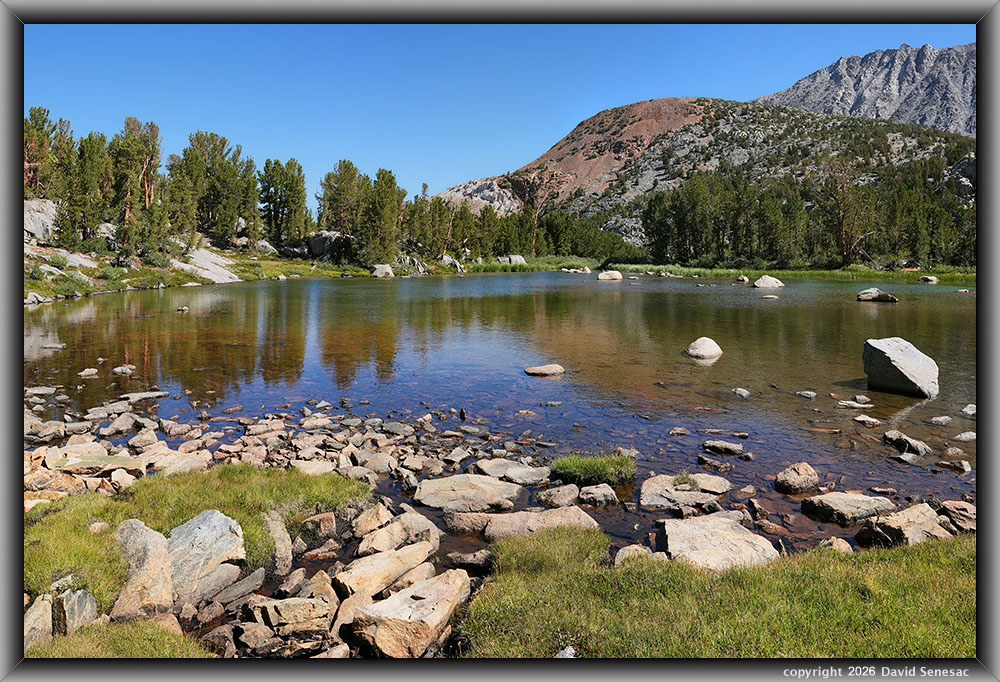 VS00381-00400-3x1v pond at 10835, Chocolate Peak, Inconsolable Range, whitebark pines VS00381-00400-3x1v