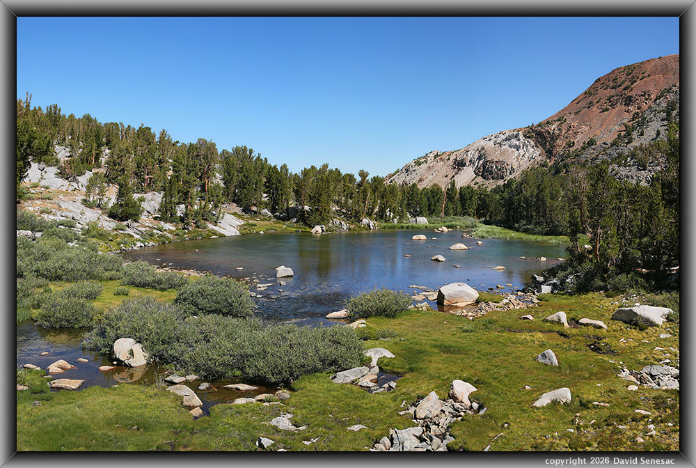 VS00411-00419-3x1v pond at 10835, Sierra willow, whitebark pine VS00411-00419-3x1v