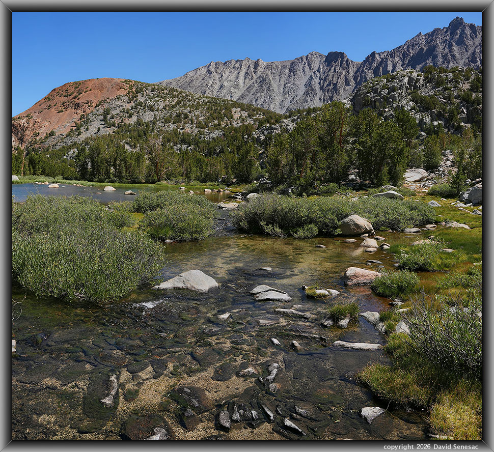 VS00421-00430-2x1v stream, pond at 10835, Sierra willow, whitebark pine VS00421-00430-2x1v