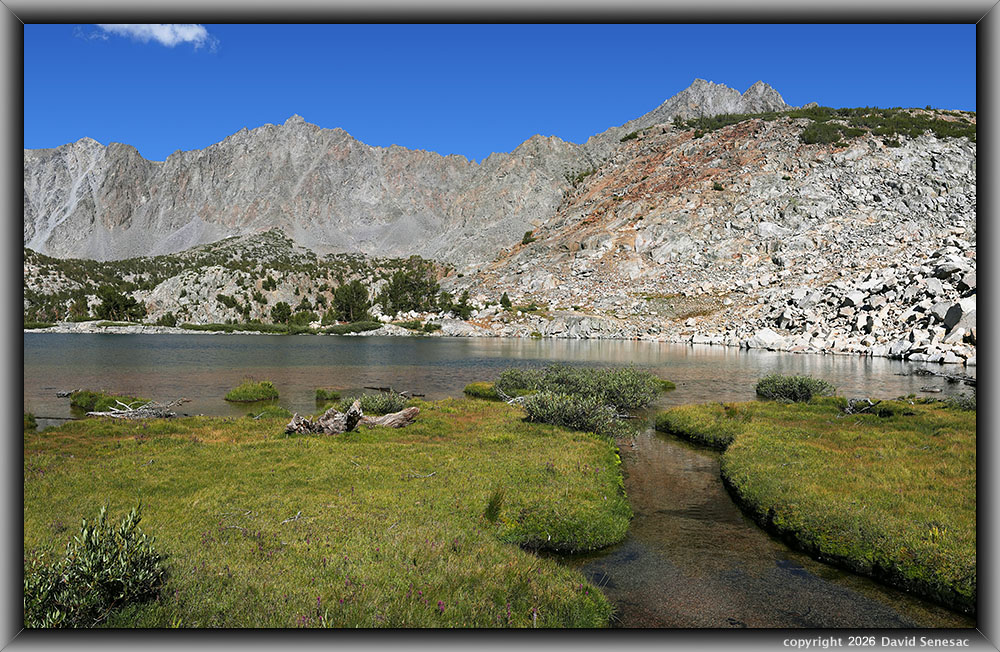VS00458-00482-3x1v Margaret Lake, Cloudripper, Picture Puzzle Peak, Lemmon's paintbrush, little Indian's head, Sierra willow, whitebark pine VS00458-00482-3x1v