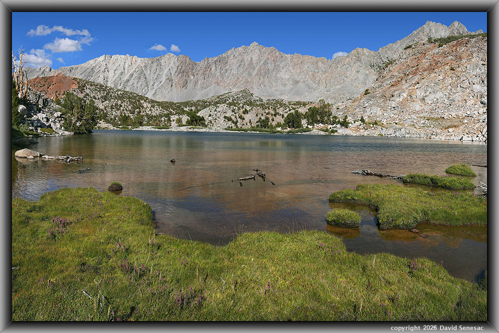 VS00496-00511-3x1v Margaret Lake, Cloudripper, Picture Puzzle Peak, Lemmon's paintbrush, little Indian's head, common monkeyflower, Sierra willow, whitebark pine VS00496-00511-3x1v