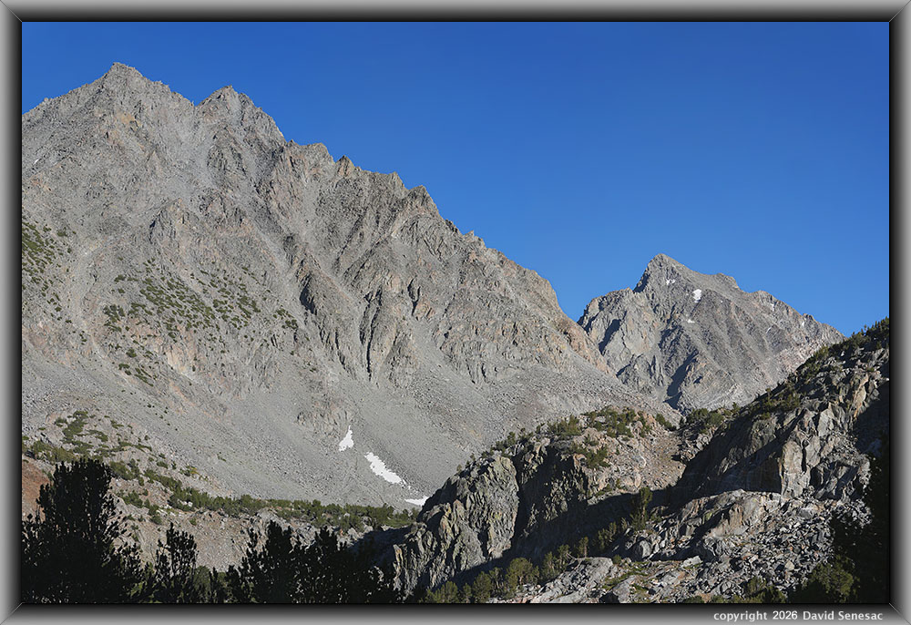 VS00619-00625-3x1v stream, Lemmon's paintbrush, Sierra willow, whitebark pine, Chocolate Peak, Inconsolable Range. VS00619-00625-3x1v