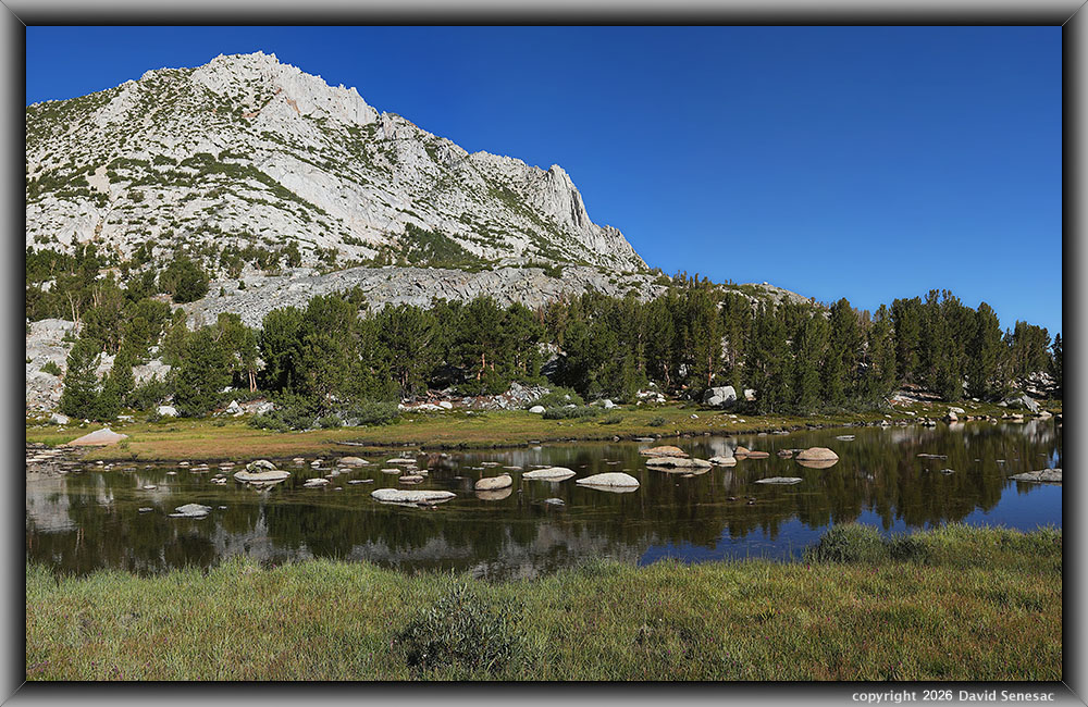 VS00691-00704-3x1v stream, Hurd Peak, whitebark pine, Sierra willow VS00691-00704-3x1v