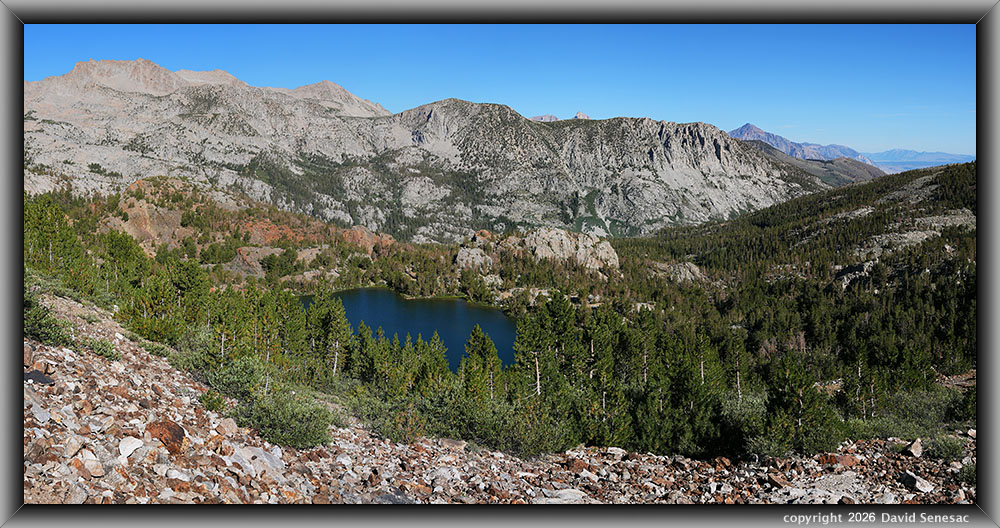 VS00955-00976-4x1 Bull Lake, Thompson Ridge, Mt Tom, whitebark pine, lodgepole pine VS00955-00976-4x1v