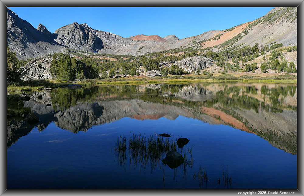 VT01133-01154-3x1v middle Frog Lake, Excelsior Mountain, whitebark pine VT01133-01154-3x1v
