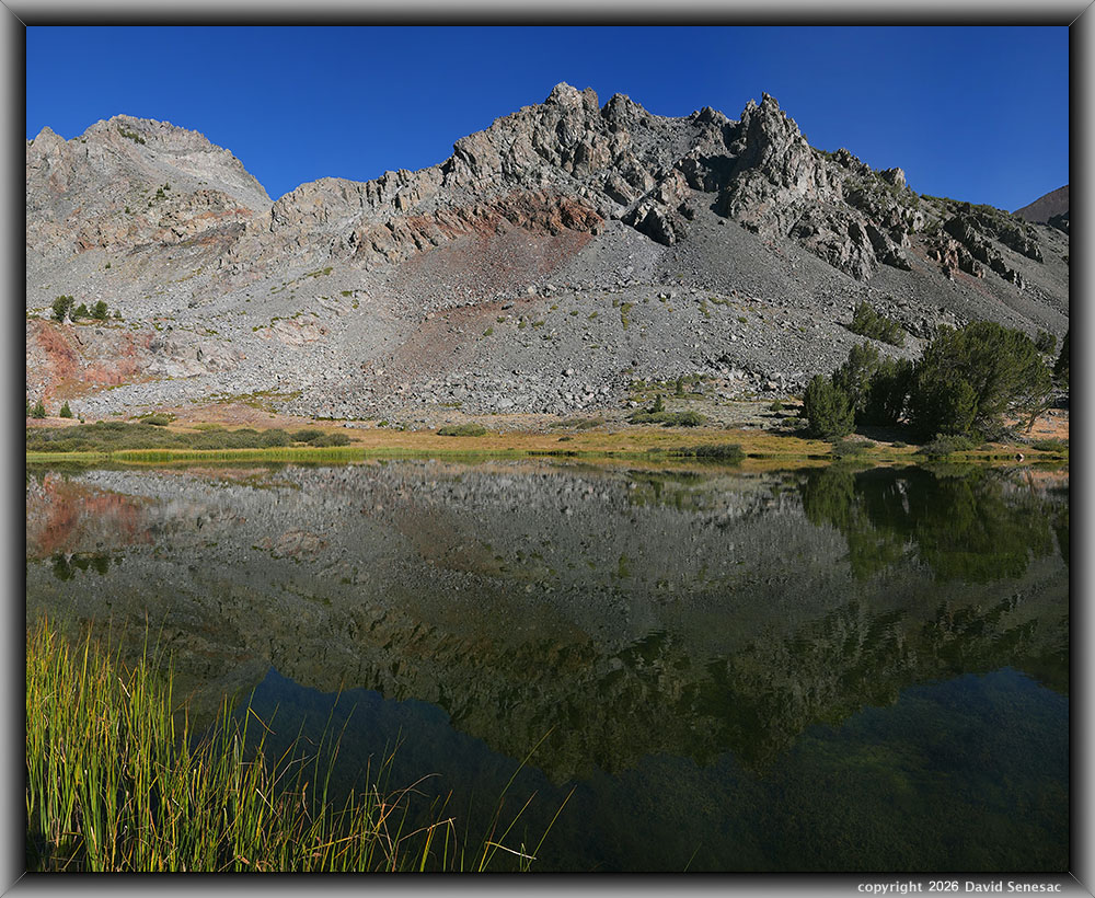 VT01203-01217-3x1v middle Frog Lake 10372, peak 11568, Sierra willow, Booth's willow, whitebark pine VT01203-01217-3x1v