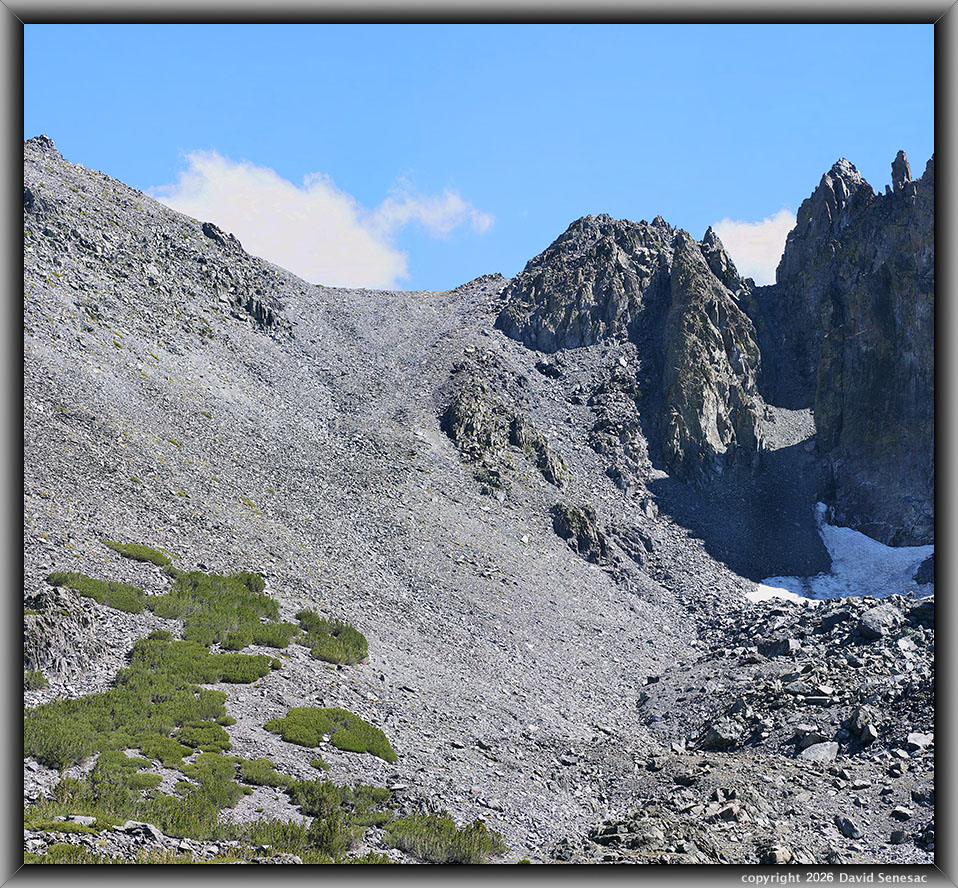 VT01253-01254-2x1v Burro Lake Pass, whitebark pine VT01253-01254-2x1v