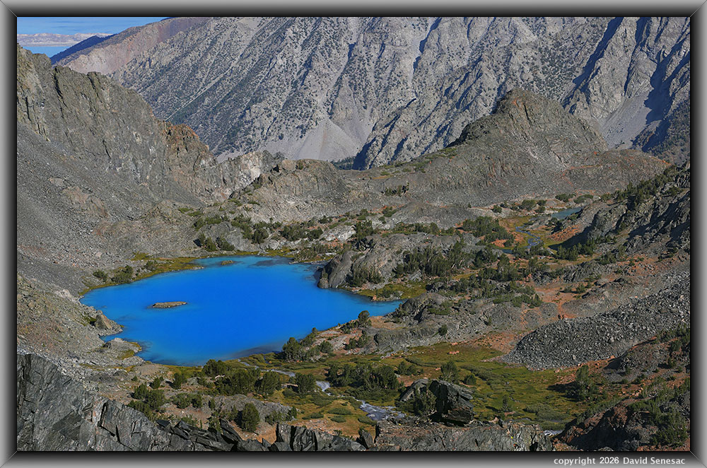 VT01324-01351-3x1v Burro Lake, Mono Lake, whitebark pine VT01324-01351-3x1v