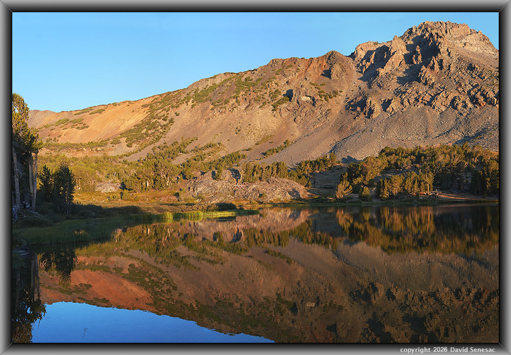 VT01394-01405-3x1v upper Frog Lake, whitebark pine VT01394-01405-3x1v